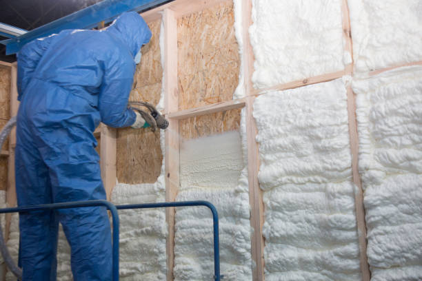 Best Blown-In Insulation  in Waianae, HI